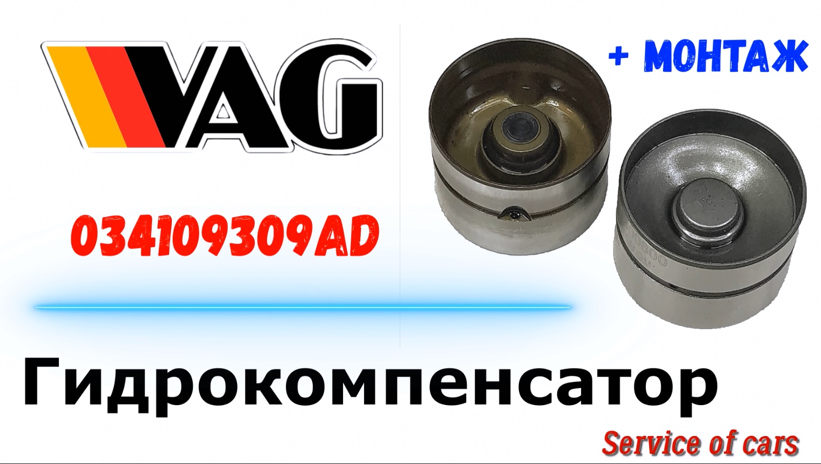 Гидрокомпенсатор   VAG 034109309AD   + монтаж