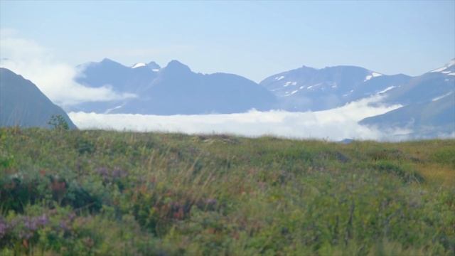 Норвегия там где Птушкин не бывал I Пешеходный туризм в Норвегии I Самое красивое восхождение в гор смотреть онлайн