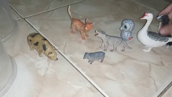 Timmy e Seus Amigos timmy time disney junior Miguel 🐑🐑🐑🐑🐑