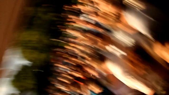 23 07 2012 Слушания проекта по рубке Измайловского леса 9/14 смотреть онлайн