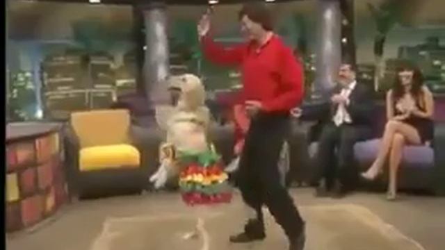 Лапы, уши, хвост--вы в танце!!!??? смотреть онлайн
