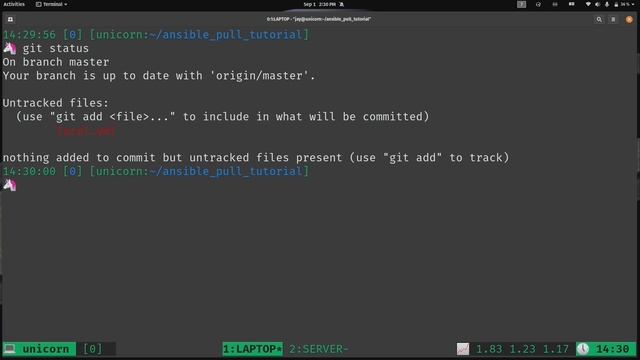 Using Ansible "Pull" Mode to Dynamically Automate Server/Workstation Builds смотреть онлайн