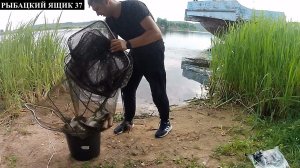 #heimerdinger  #фидер  Рыбалка на фидер ! устье реки Шача!