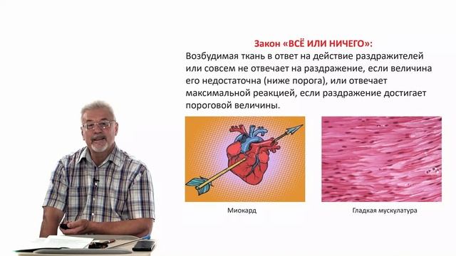 Евсеев А.В. Нормальная физиология. Лекция №2. Возбуждение клетки. 2023 смотреть онлайн