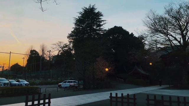 Много еды, я предупредила ! смотреть онлайн