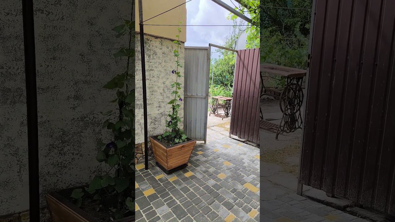 16 июня 2024 г. смотреть онлайн