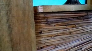 Дом из камыша (очерета, тростника)