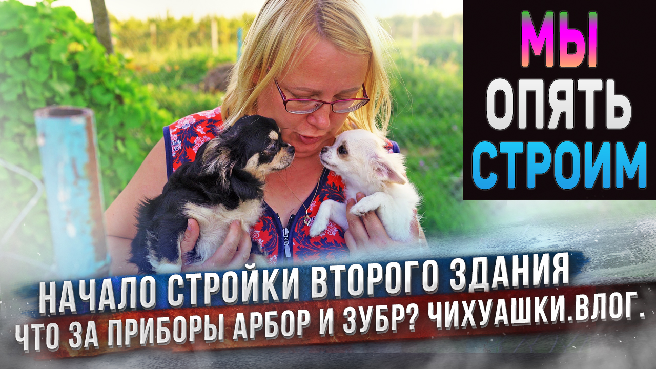Новая стройка начинается! Чихуашки гуляют. Новые приборы. Влог. смотреть онлайн