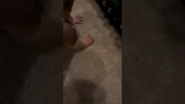 Basic baby torture 101 смотреть онлайн