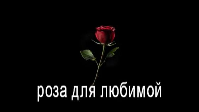 ФУТАЖ-роза для любимой смотреть онлайн
