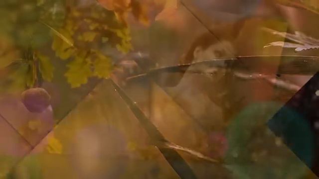 Ты разреши тебя любить  (Ketron SD1+)