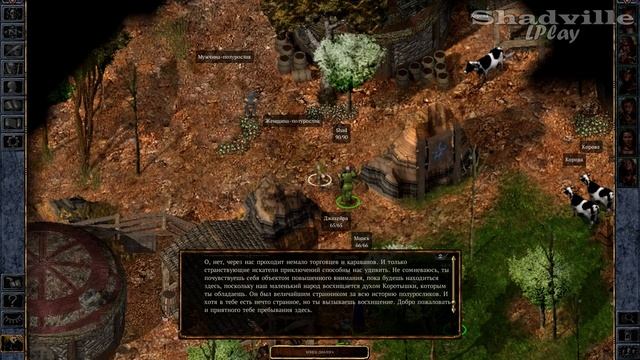 Школа Улкастера и деревня полуросликов — Baldur's Gate: Enhanced Edition Прохождение игры #18 смотреть онлайн