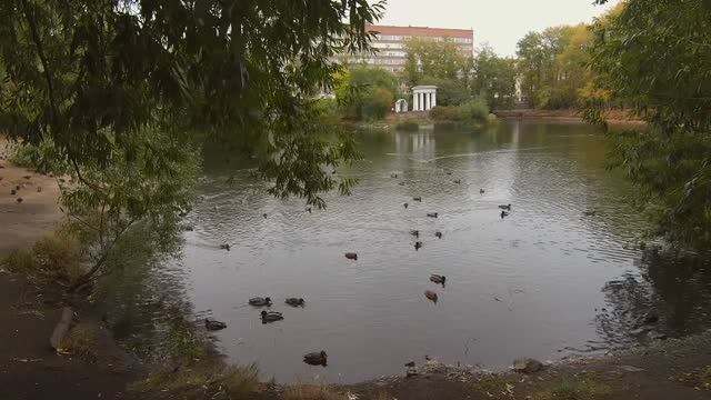 Осенний парк и спокойная красивая музыка смотреть онлайн