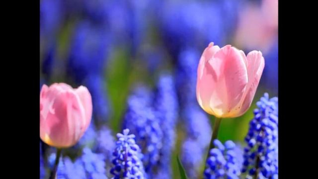 8 марта смотреть онлайн