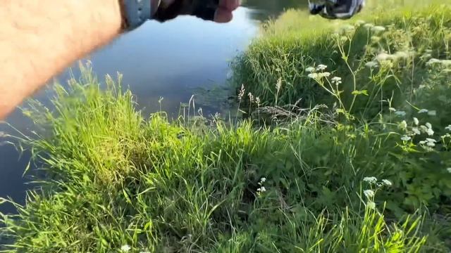 Спиннинг с берега для начинающих!#рыбалка #лодкипвх #рыбалкапорусски