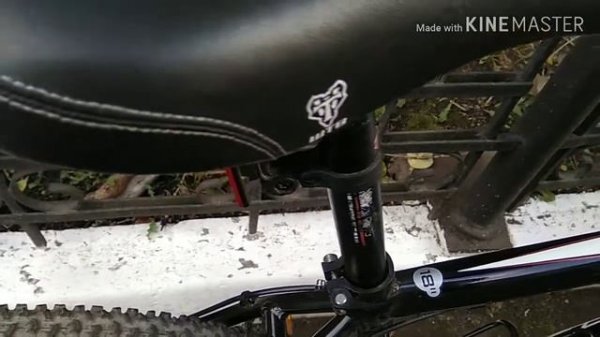 Stern Motion 5.0 топовая модель серии Motion