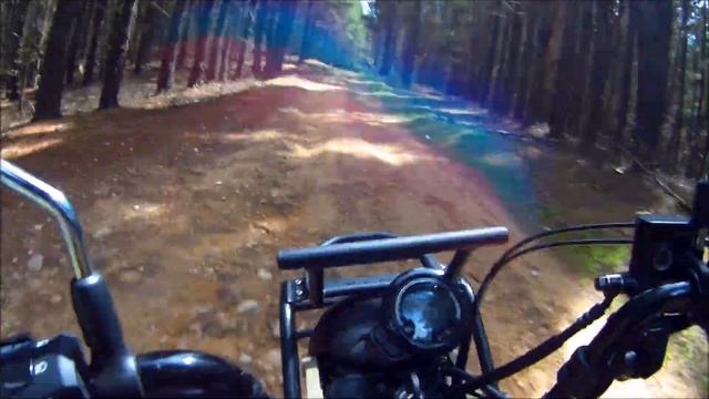 2020 Honda CT125 Hunter Cub Trail - 13 Tooth Front Sprocket Test Ride Review смотреть онлайн