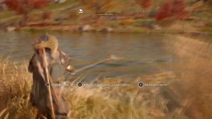 Где ловить Сома? Где ловить Кумжу? Assassin's cread Valhalla
