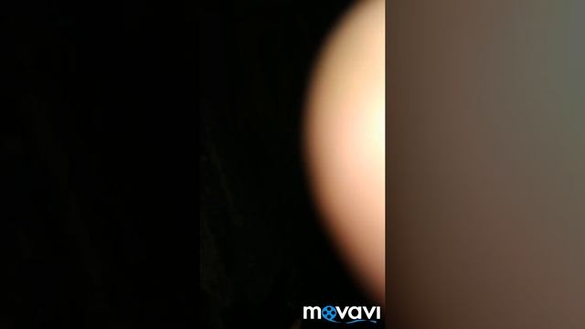 Дизайнерские Мечты