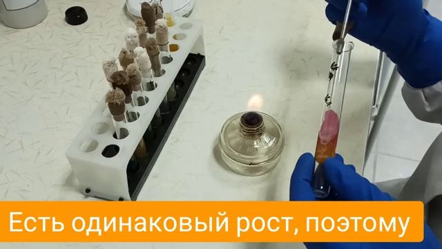 Бак посев на кишечную группу инфекций. Ещё с наказом #167, который уже отменён. смотреть онлайн