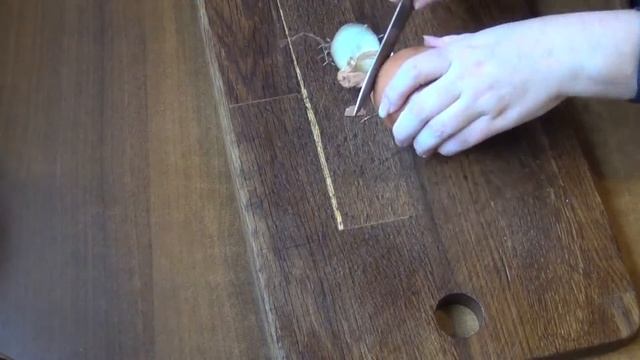 Салаты с Тимьяном