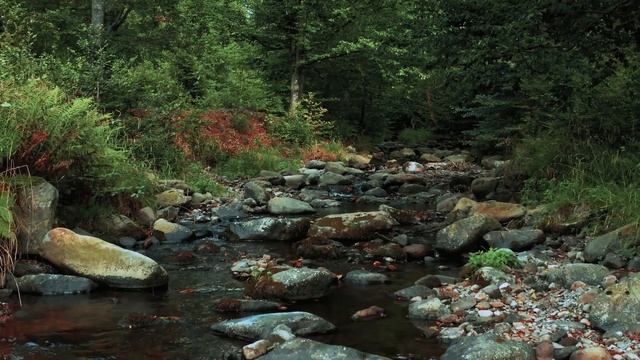 Rüyada İç Çamaşırı Görmek, Rüyada İç Çamaşırı Almak, Rüyada Kırmızı İç Çamaşırı Görmek, Rüya Yorumu