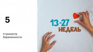 Второй триместр беременности