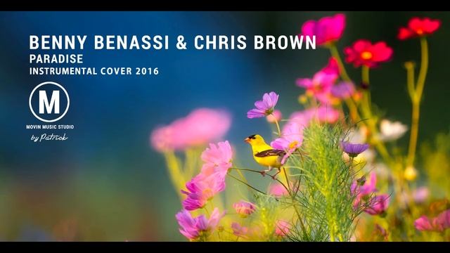 Benny Benassi & Chris Brown - Paradise ( Instrumental ) смотреть онлайн