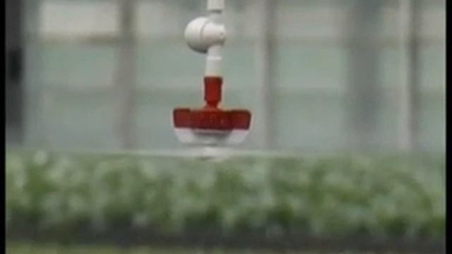 микроспринклер SPNT видео работы