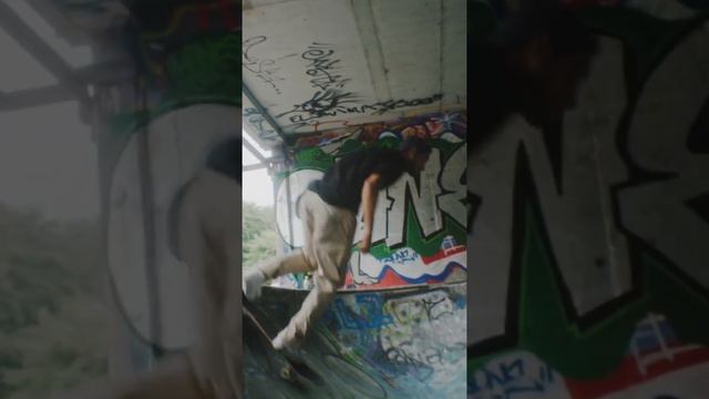 Mosquito Mojito - Rachel K Collier