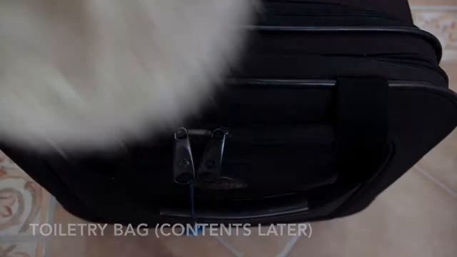 Pack With Me: 2 Week Carry-On For Asia