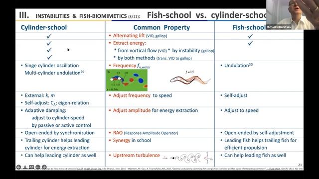 VIVACE: A Hydrokinetic Energy Harvester Based On Fish Biomimetics