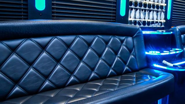 Party Bus: 20-22 Passengers смотреть онлайн