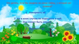 Викторина «Безопасное лето»