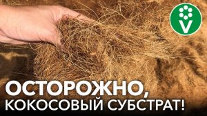 ВСЯ ПРАВДА О КОКОСОВОМ СУБСТРАТЕ ДЛЯ РАССАДЫ И НЕ ТОЛЬКО! Плюсы и минусы кокосового волокна