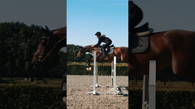 Campaign video - euro-star autumn/winter '23 смотреть онлайн