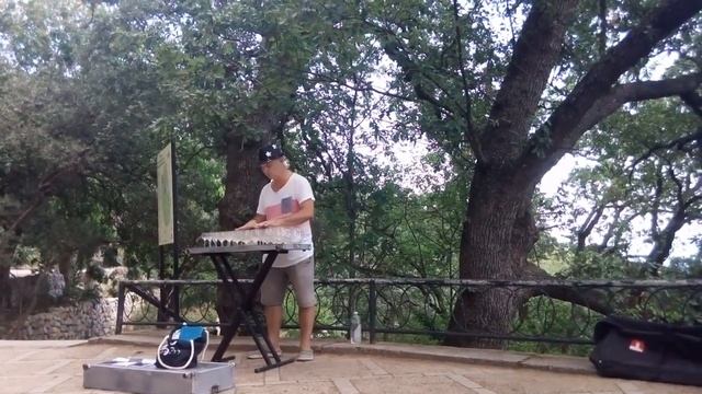 Тимофей Винковский Игра на бокалах Никитский Ботанический сад Крым смотреть онлайн