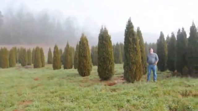 Our Fast Growing Plants смотреть онлайн