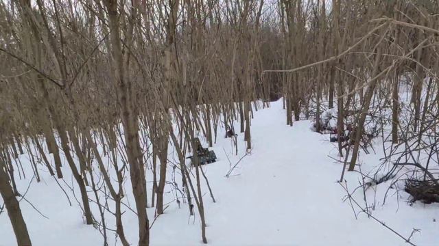 Живу в вымирающей деревне.