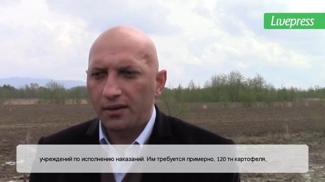 Бизнес голландского картофеля в селе Орулу смотреть онлайн