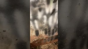 Плохо крутит стартер Чери Амулет А15