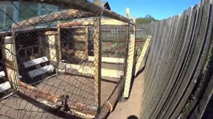 Летний вольер для кур из того что было