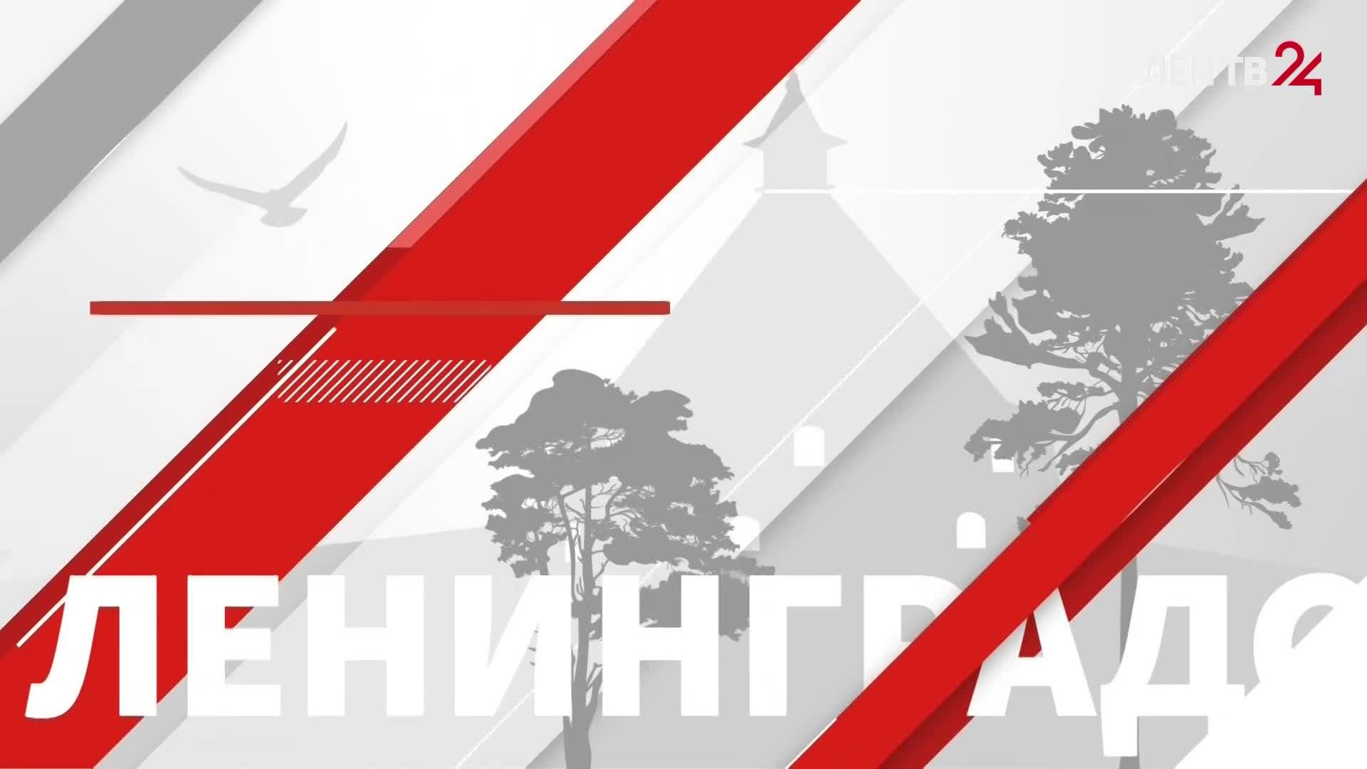 Прямая линия Александра Дрозденко | Эфир ЛенТВ24