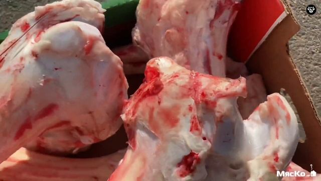 Шедевры Вкуса