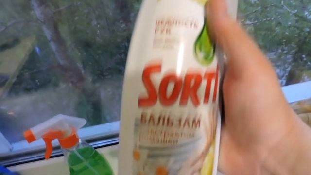 Моющие средство Sorti 1000 мл На сколько его хватит смотреть онлайн