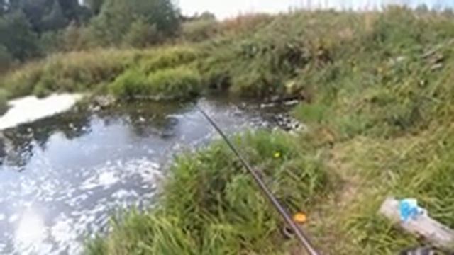Рыбалка на боковой кивок на сливе заброшенного пруда в Удмуртии. смотреть онлайн