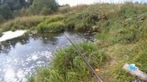 Рыбалка на боковой кивок на сливе заброшенного пруда в Удмуртии.