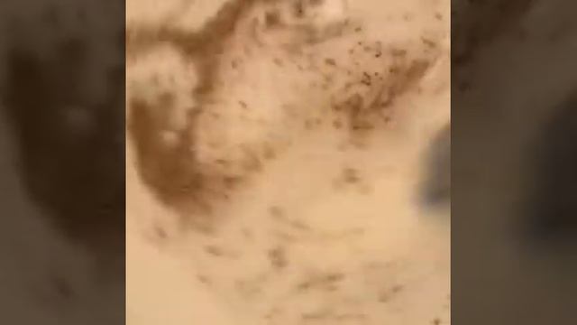 КЕФИРНЫЙ СУП | диетический летний суп | быстро, легко и просто