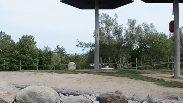 Giraffe. Toronto zoo смотреть онлайн
