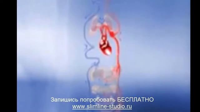 Как быстро похудеть в проблемных зонах? смотреть онлайн